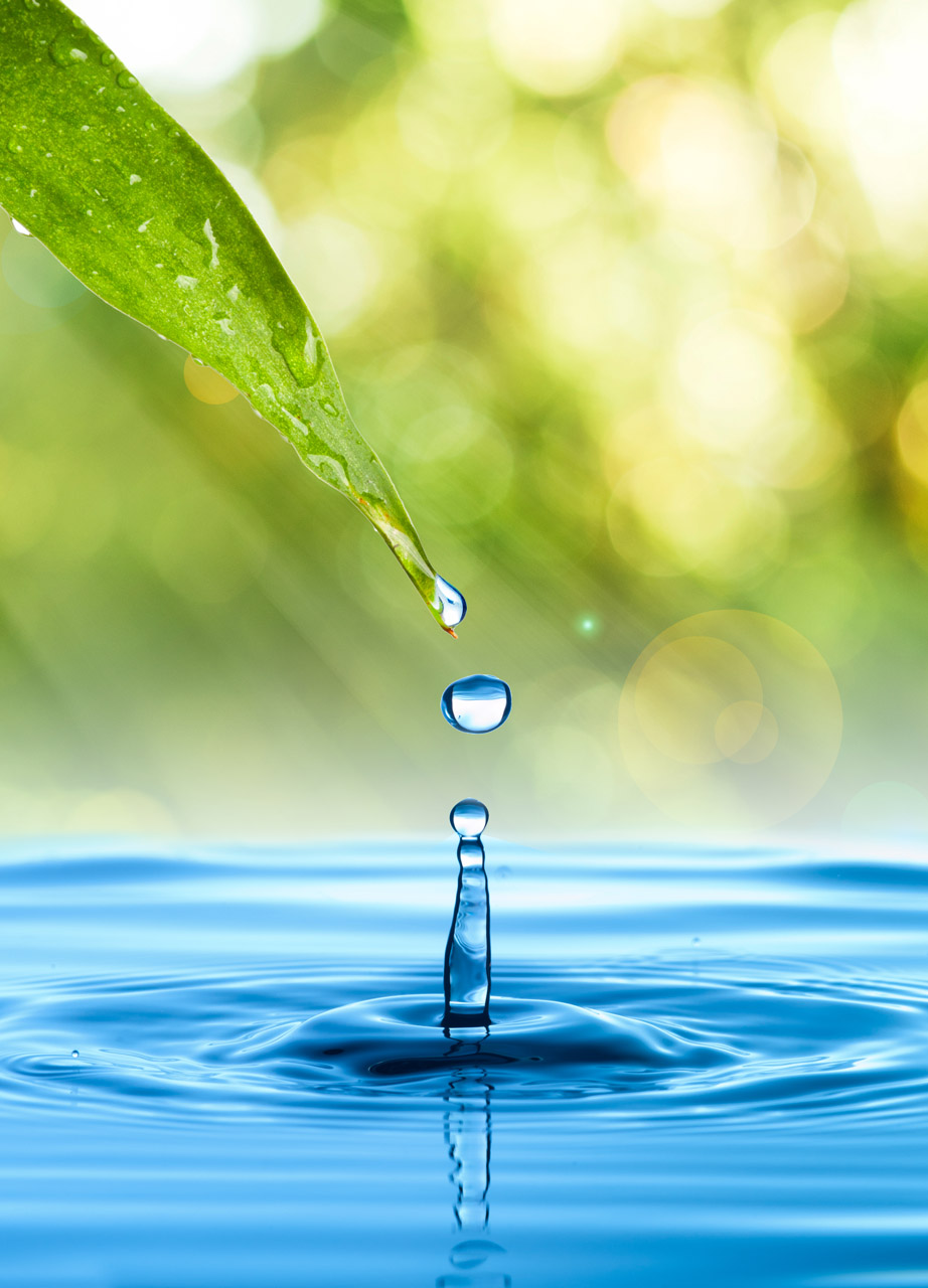 10 Consejos que le ayudaran a ahorrar agua en el hogar