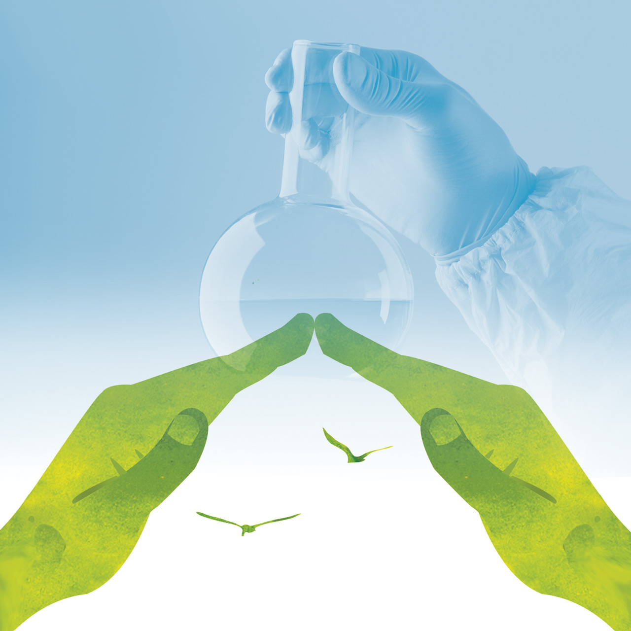 Diseñando Futuros Inspiradores: Seis consejos para una innovación sostenible